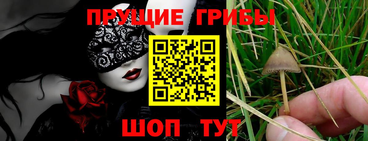 Галлюциногенные грибы ЛСД Балтийск