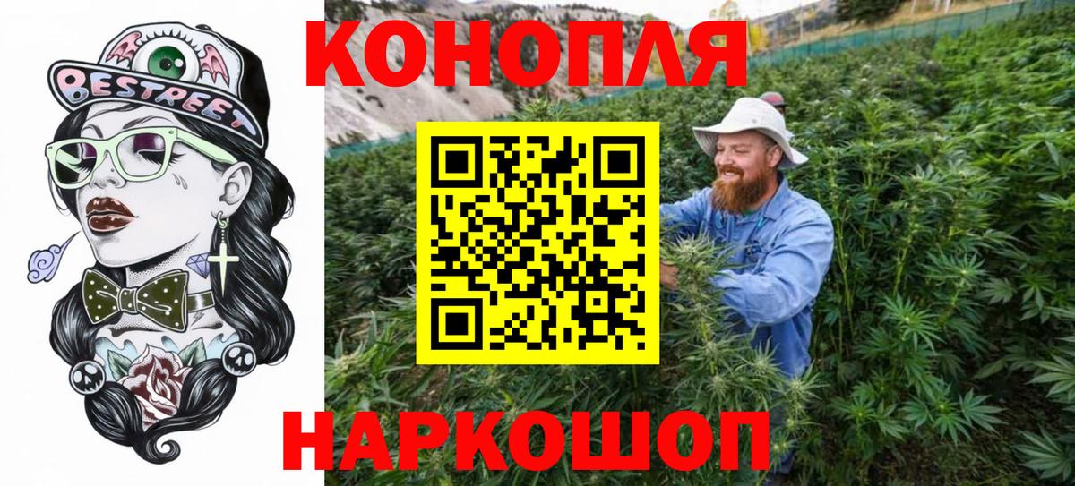 Бошки марихуана сатива Балтийск